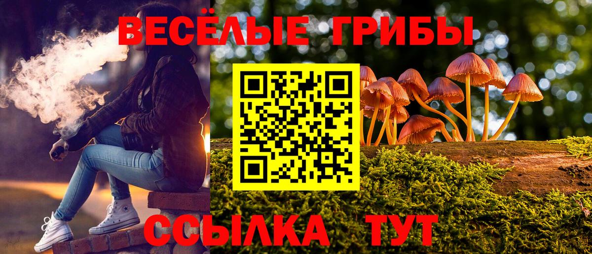 Псилоцибиновые грибы MAGIC MUSHROOMS  Вход с VPN  Керчь  Псилоцибиновые грибы Psilocybine cubensis 
