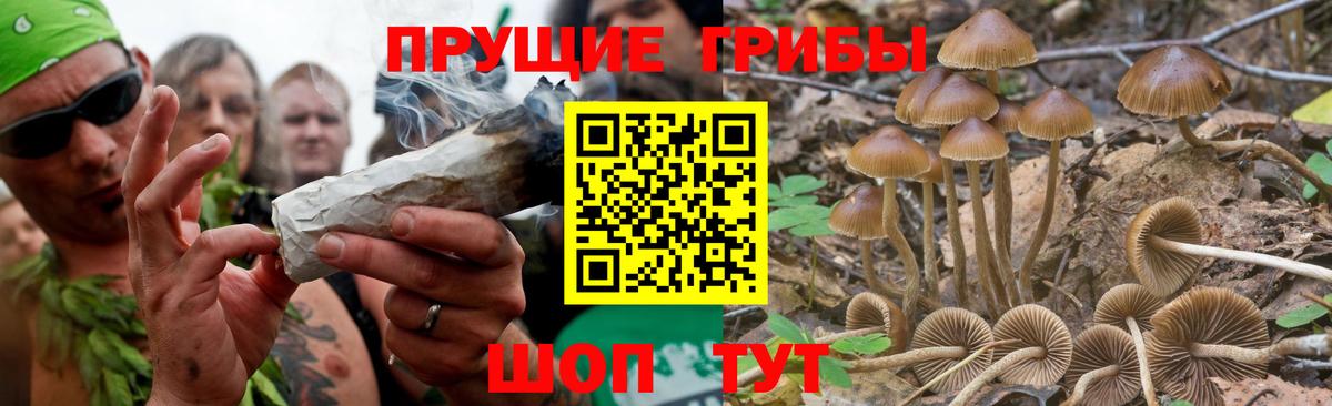 Галлюциногенные грибы MAGIC MUSHROOMS Керчь